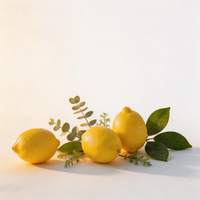 Amalfi Lemon Fruit Seeds for Home Gardening – Heirloom, Non-GMO, High Germination Planting Seeds