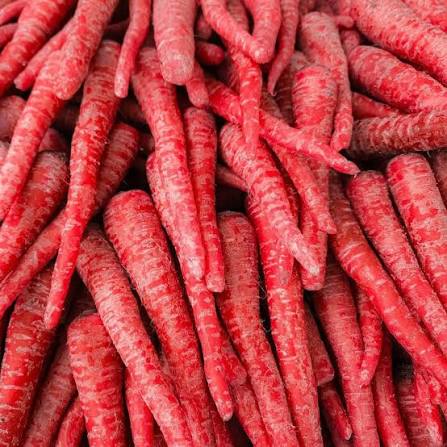 Fresh Red Atomic Carrots Harvested from Garden