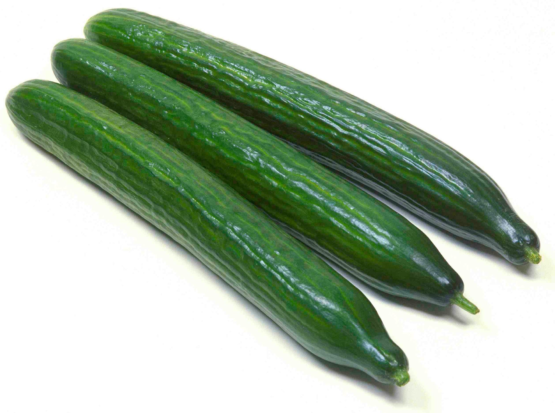 Fresh Green English Cucumbers from Home Garden