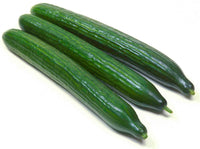 Fresh Green English Cucumbers from Home Garden