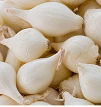 Fresh White Onion Vegetable Bulbs
