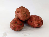 Fresh German Butterball Potatoes with Golden Skin