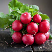 German Giant Radish Seeds for Planting