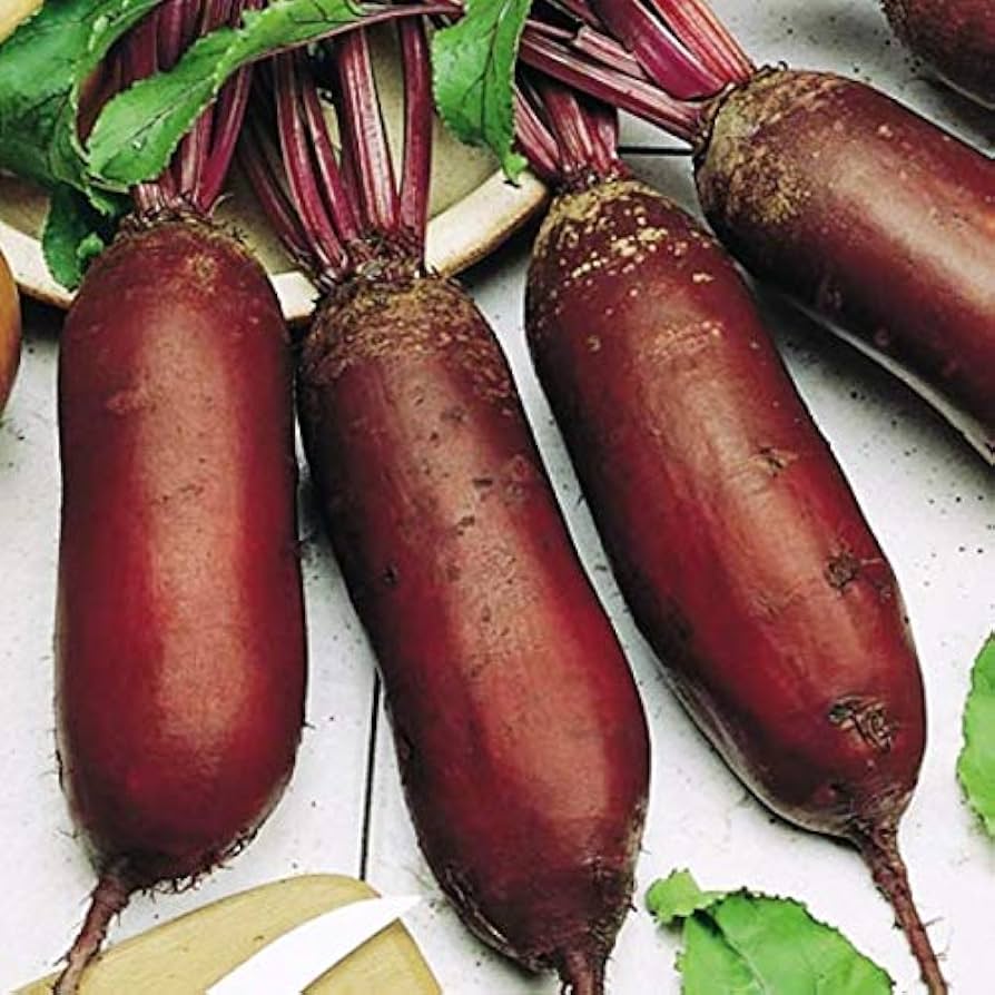 Healthy heirloom beetroot plants thriving in a raised garden bed.