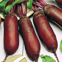 Healthy heirloom beetroot plants thriving in a raised garden bed.