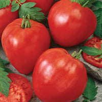 Giant Oxheart Tomato Seeds for Planting