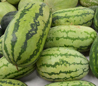 Giant Sweet Watermelon seeds for growing vigorous vines in outdoor garden plots.