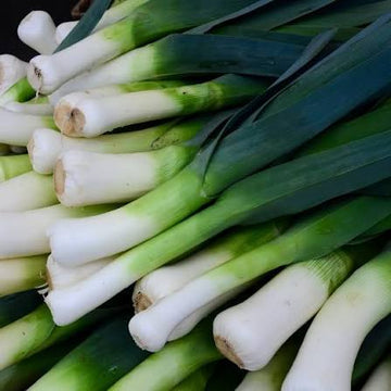 Giant Winter leek seeds for planting in home vegetable gardens.