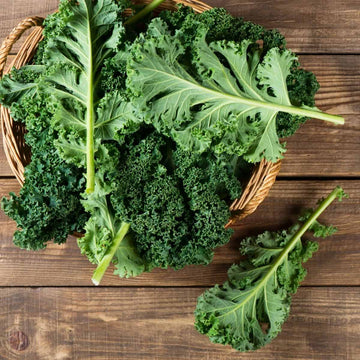 Green Kale cabbage seeds for home garden planting