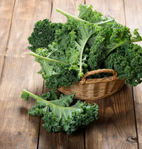 Green kale plants with leafy foliage growing in a vegetable garden