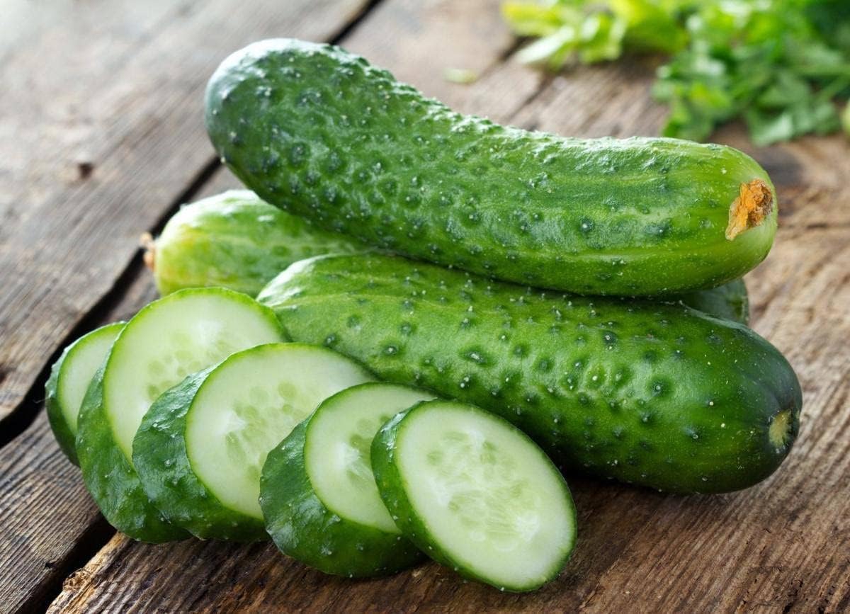Fresh green cucumbers developing on vigorous garden vines.