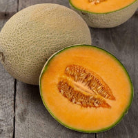 Hales Best Jumbo cantaloupe seeds for garden planting