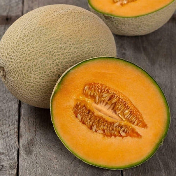Hales Best Jumbo cantaloupe seeds for garden planting