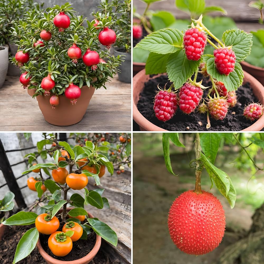 Assorted dwarf fruit seeds for creating a diverse home fruit garden.