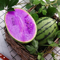 Heirloom Purple Watermelon fruit seeds suitable for kitchen gardens.