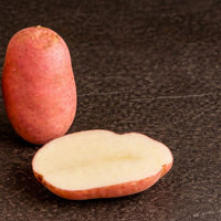 Heirloom Sarpo Mira potato seeds suitable for kitchen gardens and containers.