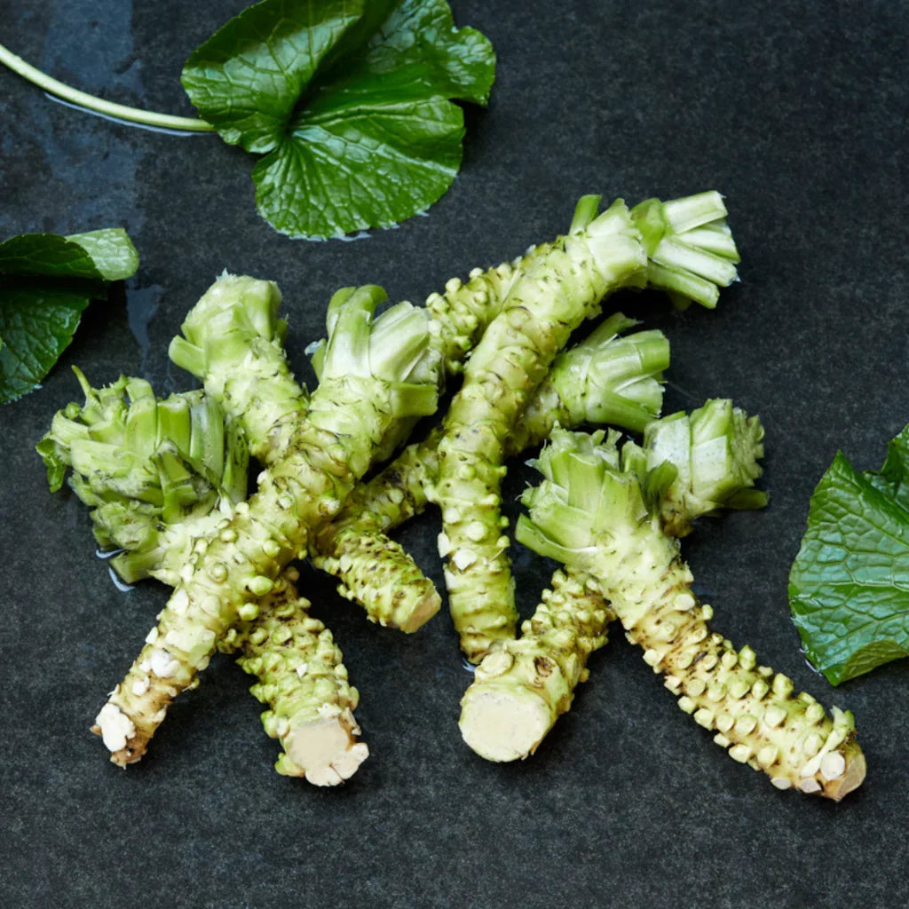 Heirloom wasabi seeds for kitchen gardens and raised beds