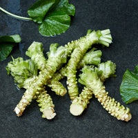 Heirloom wasabi seeds for kitchen gardens and raised beds