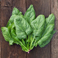 Winter Giant spinach seed packet for garden planting.