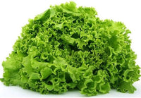 Mixed Salad Greens seeds for backyard planting
