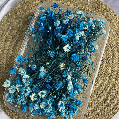 100 Pcs