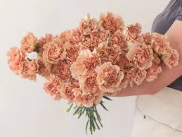 100 Pcs