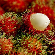 Close-up of ripe red Rambutan fruits hanging from a leafy branch.

