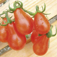 Red Pear Tomato Seeds Heirloom Garden Vegetable for Home Planting