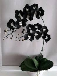 100 Pcs