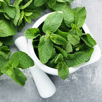 Peppermint Mint Seeds – Fragrant Culinary Herb for Garden and Container Growing