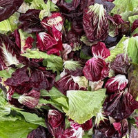 Radicchio and Endive Lettuce Mix Seeds – Leafy Greens for Home Gardens