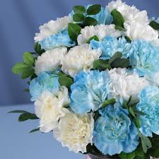 White Blue Dianthus Caryophyllus Flower Seeds for Planting Perfect for Borders Heirloom & GMO Free Seeds for Home Garden
 
 Sale