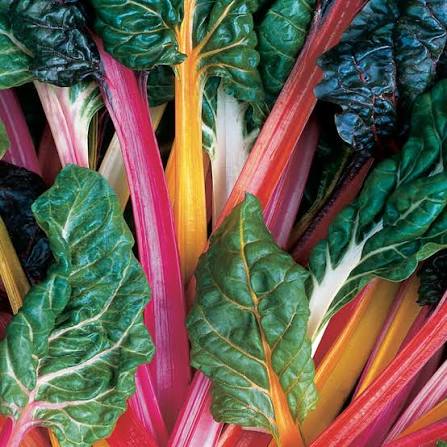 Swiss Chard 'Bright Lights' Seeds - Colorful Leafy Vegetable Plants for Garden Beds and Containers