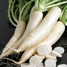 Radish Seeds for Planting  Grow Your Own Vegetables