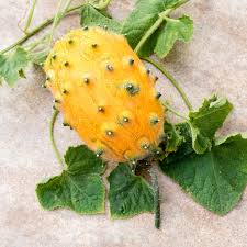Kiwano Vegetable Seeds for Easy Planting