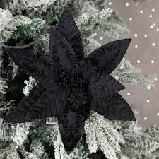 Black Poinsettia for Planting Hardy Variety Heirloom & GMO Free Seeds for Home Garden
 
 Sale