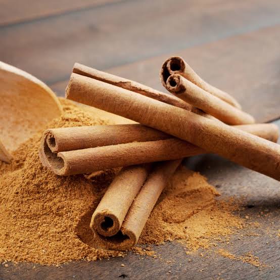 Cinnamon Tree Seeds for Planting – Heirloom & Non-GMO Tree Seeds
