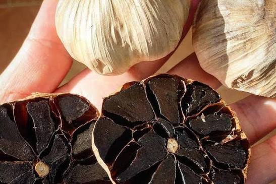 Black garlic plants growing with healthy green leaves in a vegetable garden.
