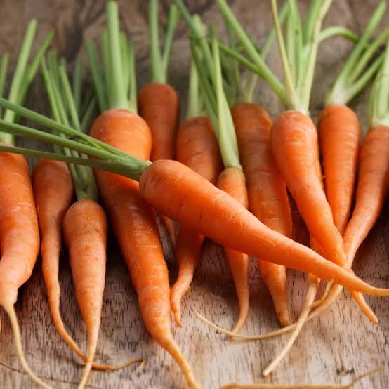 Red Giant Carrot Seeds – Large Red-Rooted Carrots for Home Vegetable Gardens
