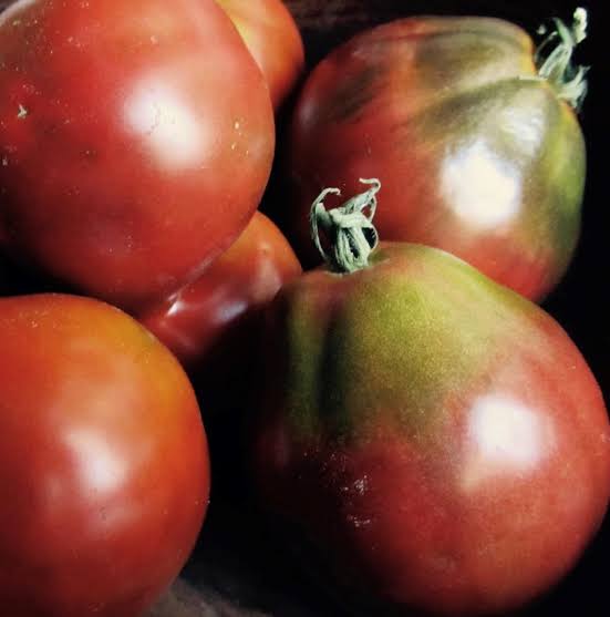 Black Truffle Japanese indeterminate tomato variety