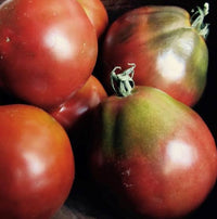 Black Truffle Japanese indeterminate tomato variety