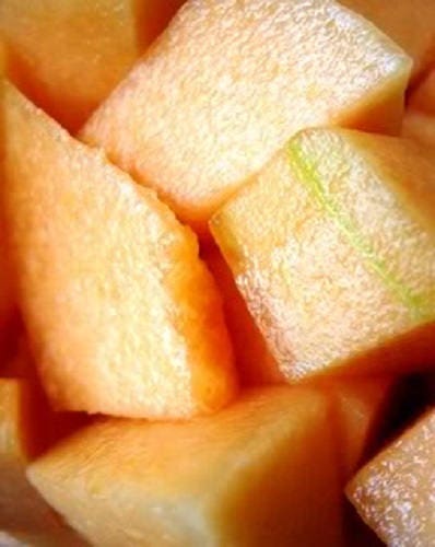 Iroquois cantaloupe melon seeds Cucumis melo heirloom sweet orange melon variety