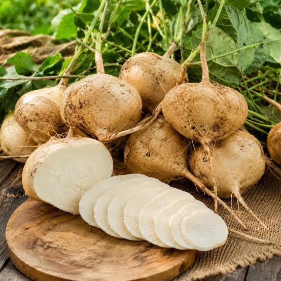 True Jicama Seeds for Planting