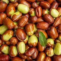Jojoba ornamental shrub seeds for xeriscapes and outdoor garden planting.