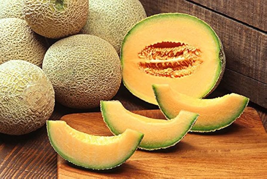 Jumbo Cantaloupe Seeds – Sweet Heirloom Muskmelon Variety