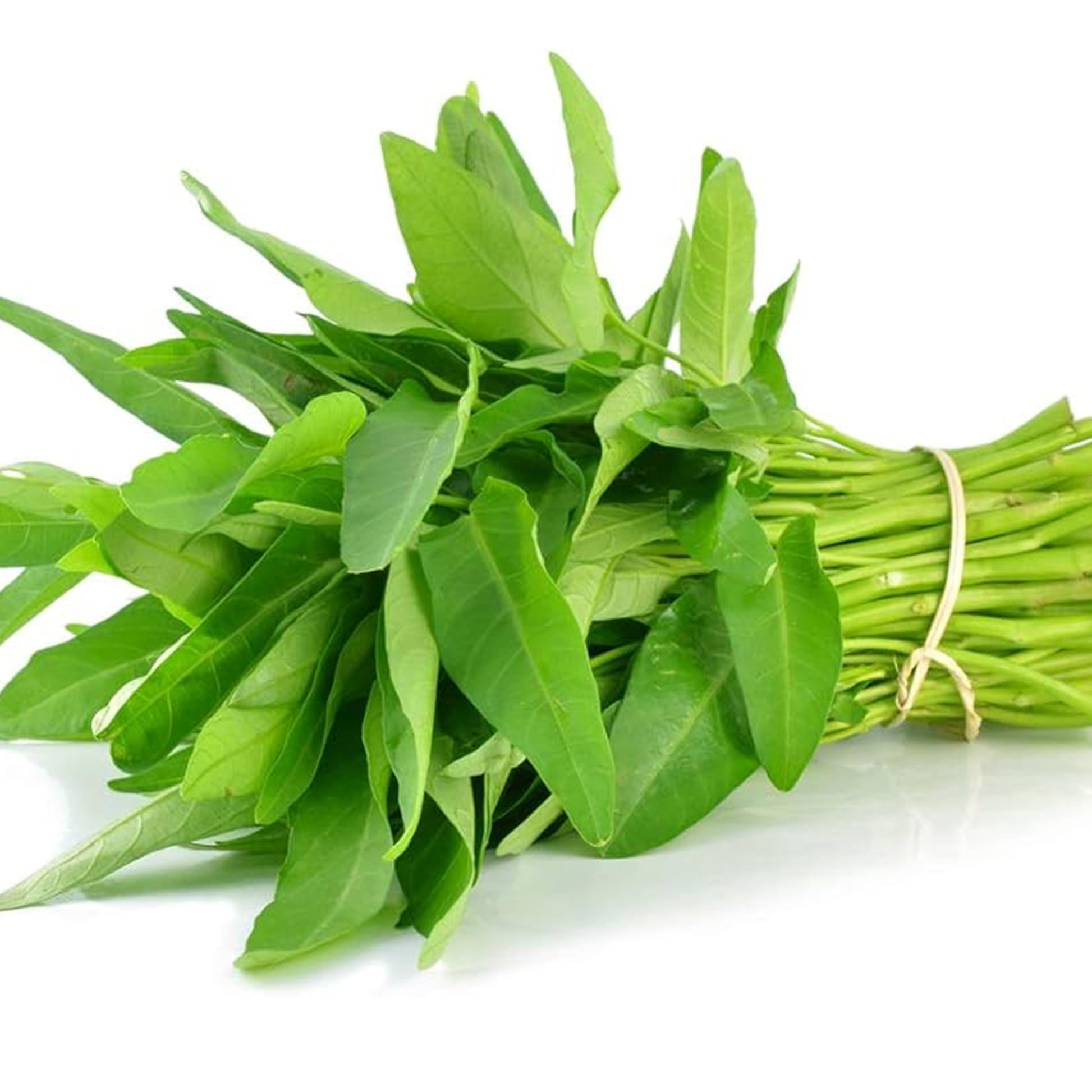 Kangkong Ipomoea aquatica leafy vegetable seeds in sustainable packaging
