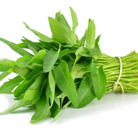 Kangkong Ipomoea aquatica leafy vegetable seeds in sustainable packaging