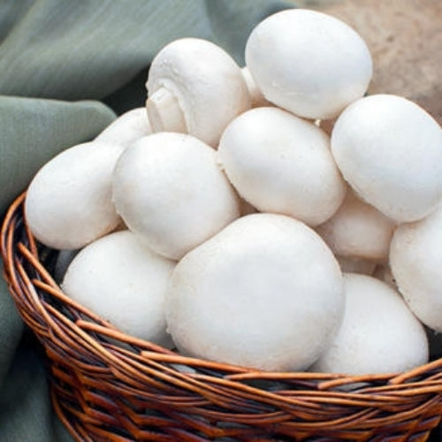 White Button Mushroom Growing Kit with Gourmet Vegetable Garden Collection for Home Cultivation