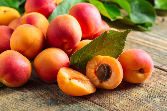 Manchurian Apricot Tree (Prunus mandshurica) seeds for planting