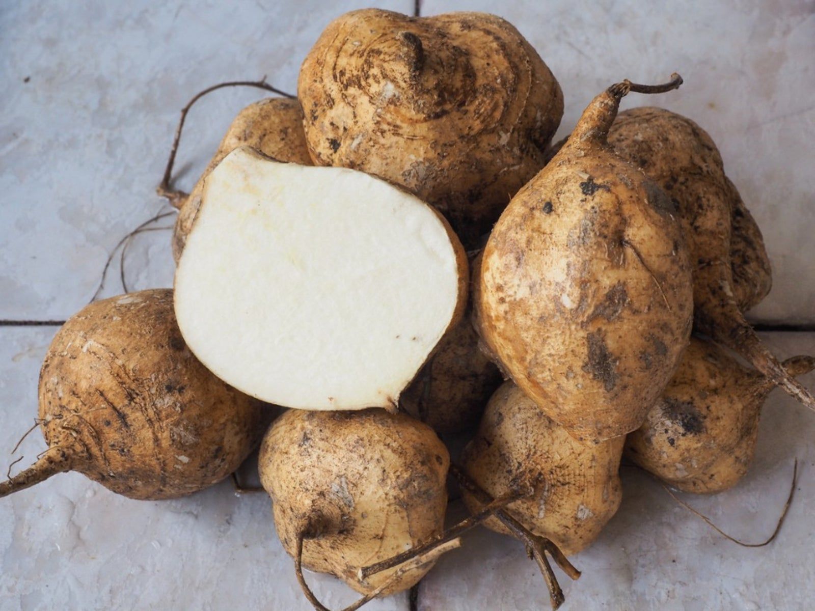 Mexican Yam Bean Seeds for Garden Growing
